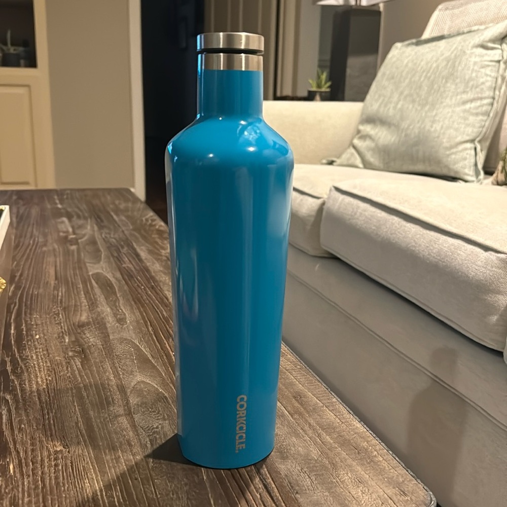 25 oz Corkcicle Cateen Water Bottle